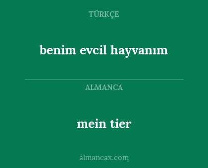 benim evcil hayvanım - mein tier