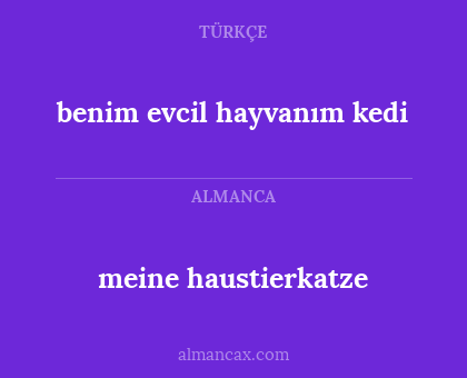 benim evcil hayvanım kedi - meine haustierkatze