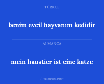 mein haustier ist eine katze - benim evcil hayvanım kedidir