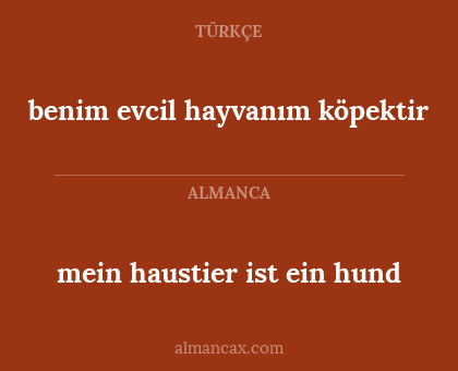 benim evcil hayvanım köpektir - mein haustier ist ein hund