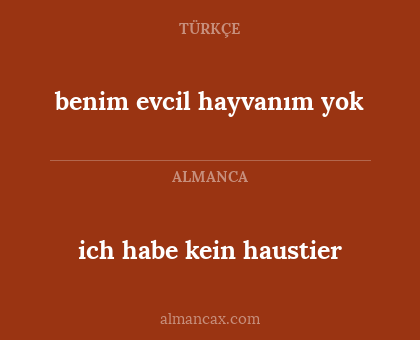 benim evcil hayvanım yok - ich habe kein haustier