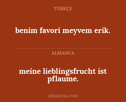 benim favori meyvem erik. - meine lieblingsfrucht ist pflaume.
