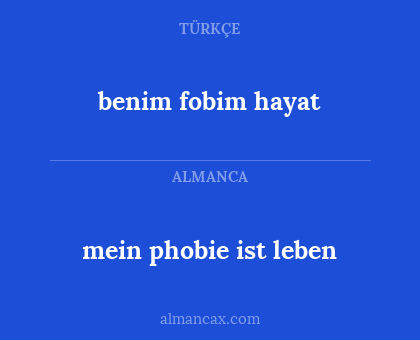 mein phobie ist leben - benim fobim hayat