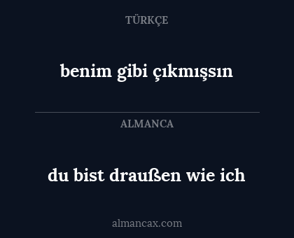 benim gibi çıkmışsın - du bist draußen wie ich