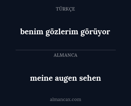 meine augen sehen - benim gözlerim görüyor