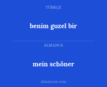 mein schöner - benim guzel bir