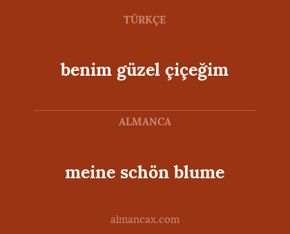benim güzel çiçeğim - meine schön blume