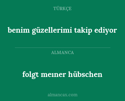 benim güzellerimi takip ediyor - folgt meıner hübschen