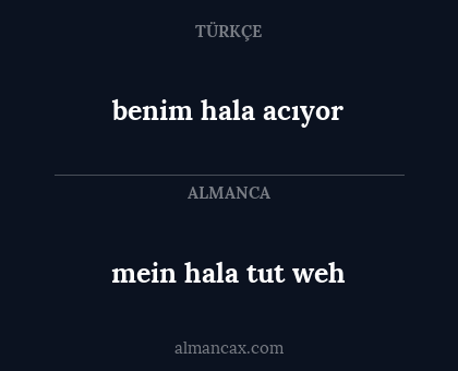 benim hala acıyor - mein hala tut weh