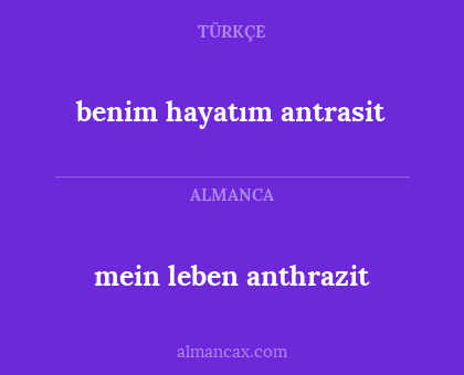 mein leben anthrazit - benim hayatım antrasit