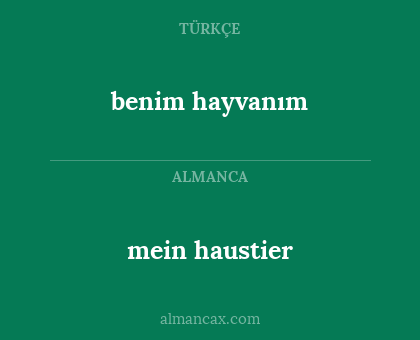 benim hayvanım - mein haustier