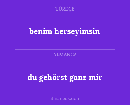 benim herseyimsin - du gehörst ganz mir