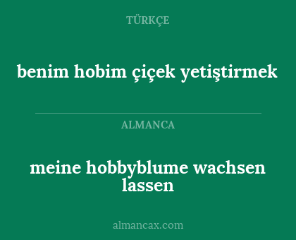 benim hobim çiçek yetiştirmek - meine hobbyblume wachsen lassen