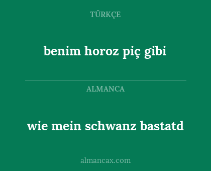 wie mein schwanz bastatd - benim horoz piç gibi