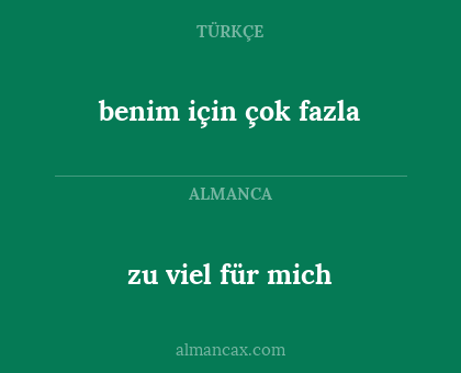 benim için çok fazla - zu viel für mich
