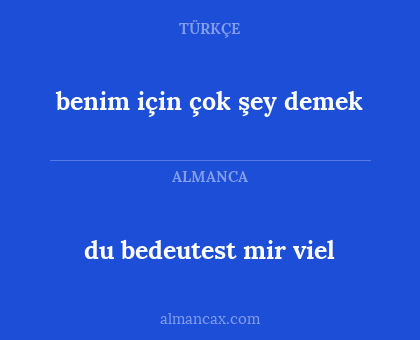 du bedeutest mir viel - benim için çok şey demek