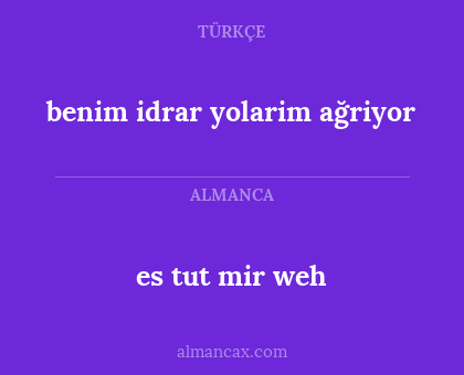 es tut mir weh - benim idrar yolarim ağriyor