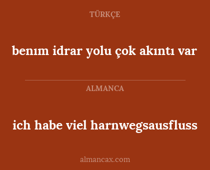 ich habe viel harnwegsausfluss - benım idrar yolu çok akıntı var