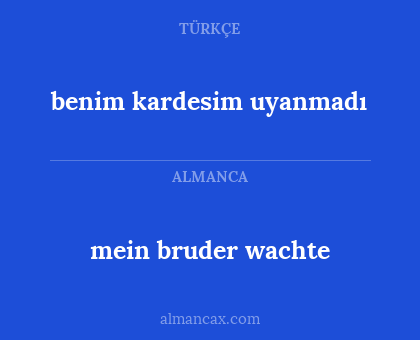 mein bruder wachte - benim kardesim uyanmadı