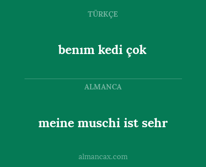 benım kedi çok - meine muschi ist sehr