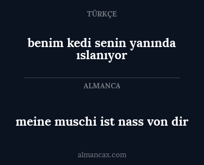 meine muschi ist nass von dir - benim kedi senin yanında ıslanıyor