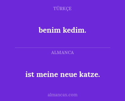 benim kedim. - ist meine neue katze.
