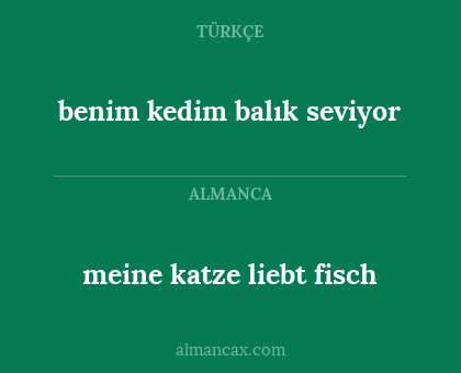 benim kedim balık seviyor - meine katze liebt fisch