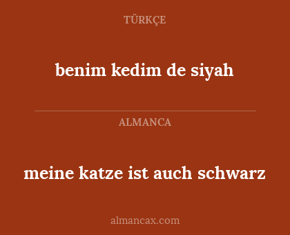 meine katze ist auch schwarz - benim kedim de siyah
