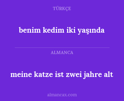 meine katze ist zwei jahre alt - benim kedim iki yaşında