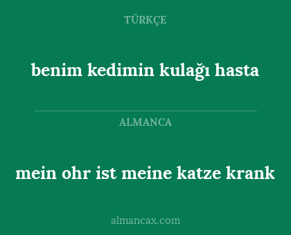 mein ohr ist meine katze krank - benim kedimin kulağı hasta