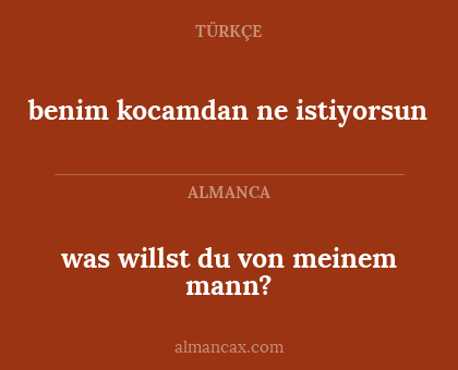 benim kocamdan ne istiyorsun - was willst du von meinem mann?