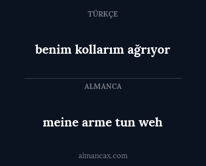 meine arme tun weh - benim kollarım ağrıyor