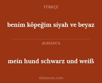 benim köpeğim siyah ve beyaz - mein hund schwarz und weiß