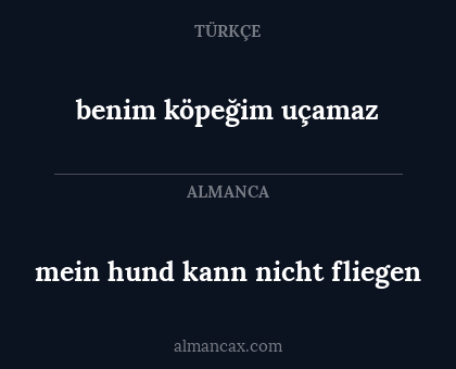 mein hund kann nicht fliegen - benim köpeğim uçamaz