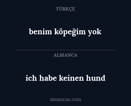 benim köpeğim yok - ich habe keinen hund