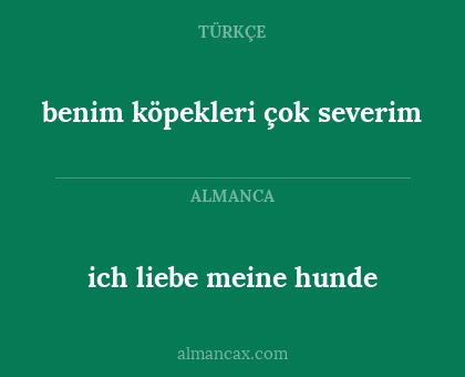 benim köpekleri çok severim - ich liebe meine hunde