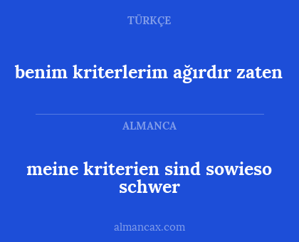 benim kriterlerim ağırdır zaten - meine kriterien sind sowieso schwer