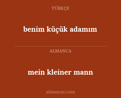 mein kleiner mann - benim küçük adamım