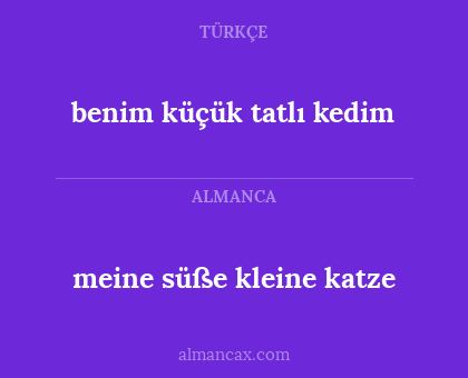 benim küçük tatlı kedim - meine süße kleine katze
