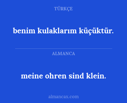 meine ohren sind klein. - benim kulaklarım küçüktür.