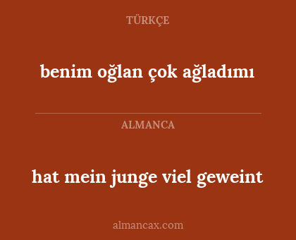 hat mein junge viel geweint - benim oğlan çok ağladımı