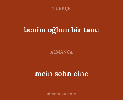 mein sohn eine - benim oğlum bir tane