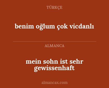 mein sohn ist sehr gewissenhaft - benim oğlum çok vicdanlı