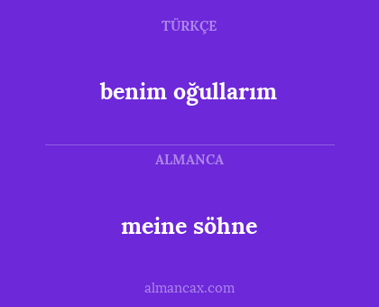 meine söhne - benim oğullarım