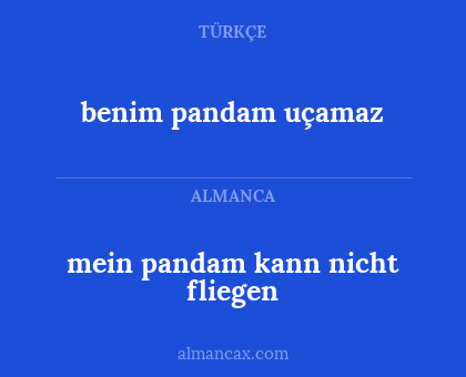 benim pandam uçamaz - mein pandam kann nicht fliegen