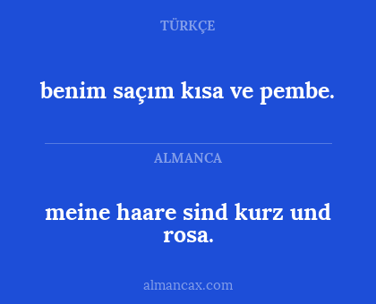 benim saçım kısa ve pembe. - meine haare sind kurz und rosa.