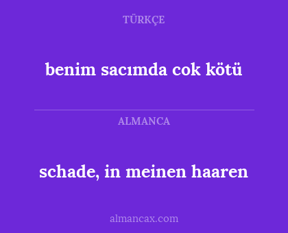 schade, in meinen haaren - benim sacımda cok kötü