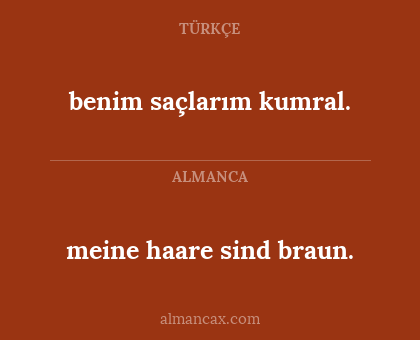 meine haare sind braun. - benim saçlarım kumral.