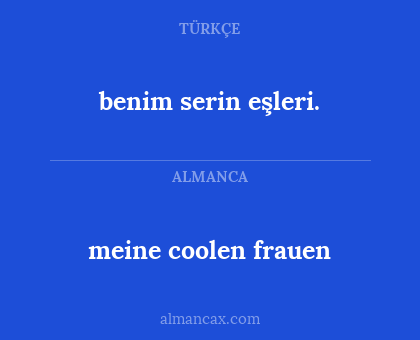 meine coolen frauen - benim serin eşleri.