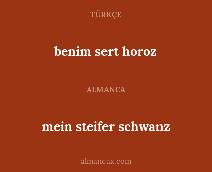 benim sert horoz - mein steifer schwanz